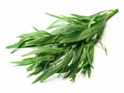 تصویر 2 از فروش ویژه سبزی ترخون خشک + ارسال سراسری